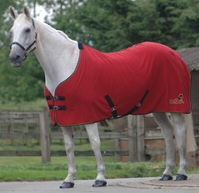 MASTA WEMBLEY SHOW RUG VELVET