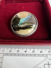 Sterling Silver And Butterfly Wing Vintage Brooch