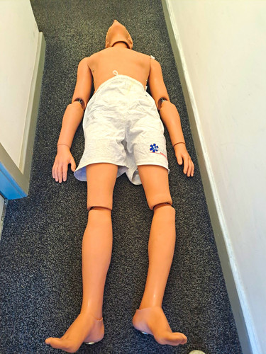 Simulaids adult cpr training - adult,