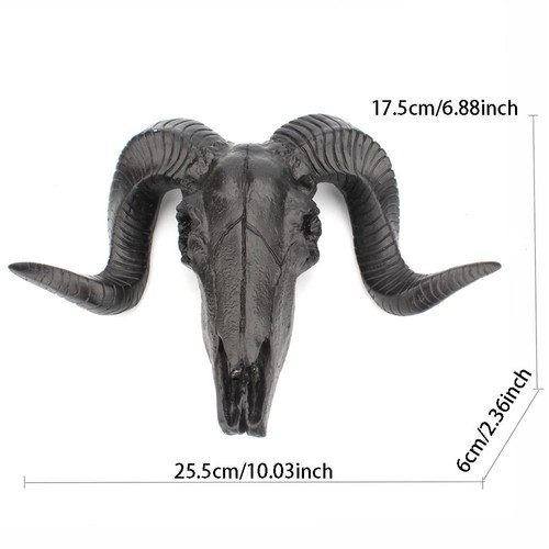 Black ram horn - black, decor
