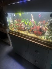Fish Tank and Cabinet Bought