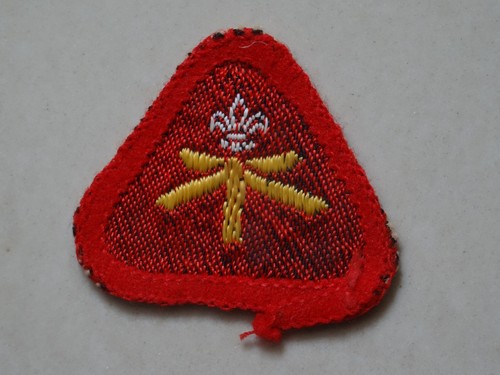 Cub scout proficiency activity - cub,