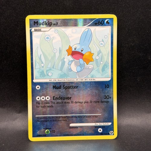 Pokemon mudkip 106 great - pokemon,