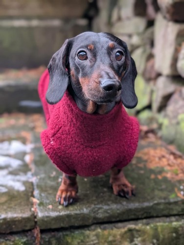Boucle jumper