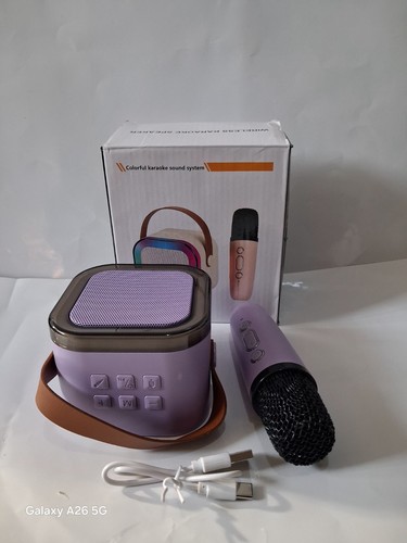 Portable karaoke system - portable,
