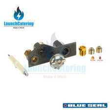 Blue Seal Pilot Assembly -