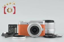 Panasonic LUMIX G DC-GF9W