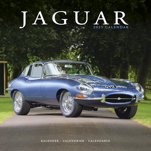 Jaguar 2025 square wall - square,