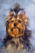 Original cute yorkshire - original,
