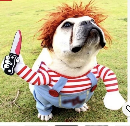 3pcs halloween pets costume - halloween,