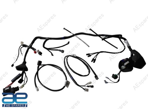 Main wiring harness - harness, &