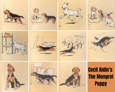 Cecil Aldin Dog Prints The Mongrel Puppy Collection Single Photo Prints
