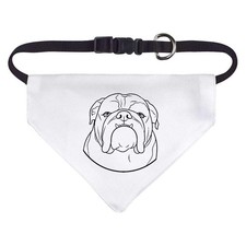 'English Bulldog Portrait' Dog