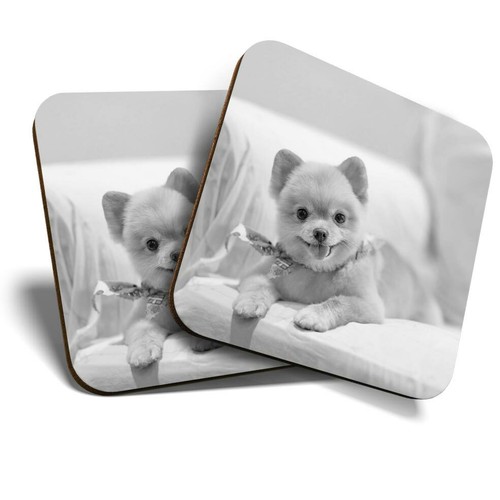 Coasters cute - 2,