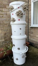 10L/4.5kg Easy Grow Oyster Mushroom Kit Bucket - Garden & Indoors