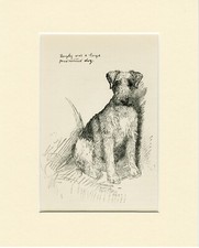 AIREDALE TERRIER SITTING