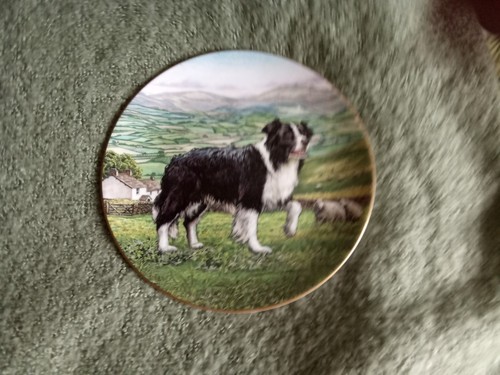 Royal doulton dogs - royal,