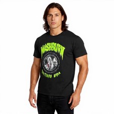 Vintage Washburn Guitars USA