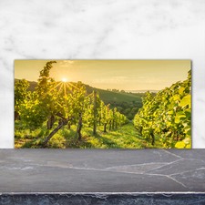 Küchenrückwand Spritzschutz