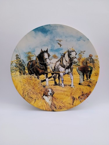 Danbury mint collectors - mint, plate