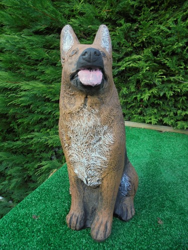 Alsatian german shepherd - alsatian/german,