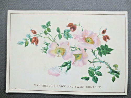 Victorian 1880s christmas - 1880s, card