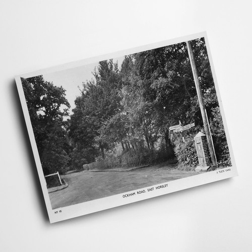 Print vintage surrey - -,