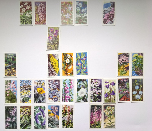 Brooke bond tea wild flowers - brooke,