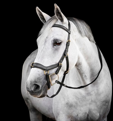 Horseware micklem multi bridle - horseware,