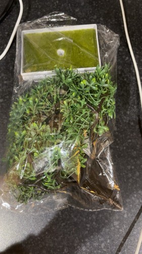 Artificial bonsai tree 20cm - artificial,