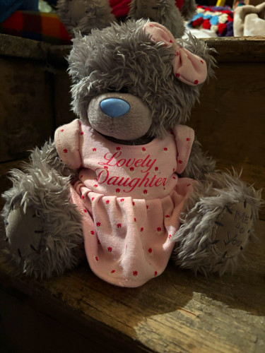You tatty teddy grey - you,