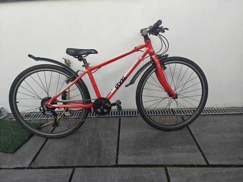 Frog red hybrid - 69,