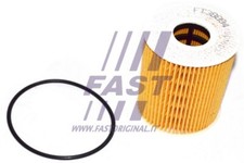 FT38094 FAST Oil Filter for