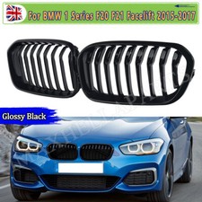 Front Kidney Grill Grille
