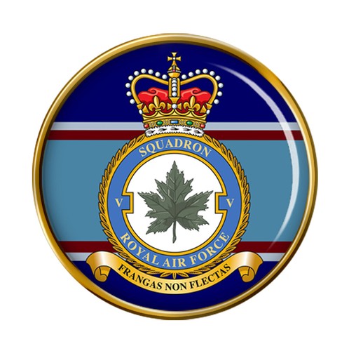 Squadron raf pin - 5, badge