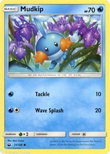 Mudkip 33/168 : Common