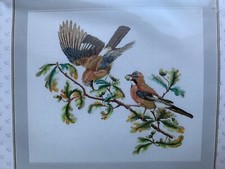 Thea Gouverneur Jays Embroidery/Cross Stitch Kit No 2022 ~ AIDA