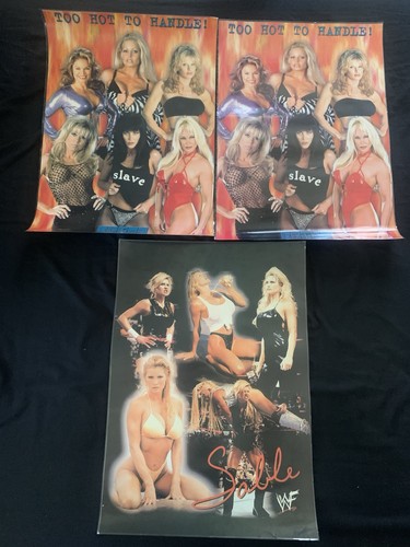 Wwf divas laminated posters - wwf,