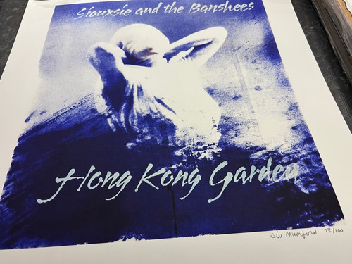 Siouxsie the banshees ltd - siouxsie, &