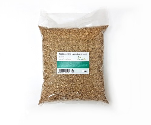 Rapid growing lawn grass seed - lawn,