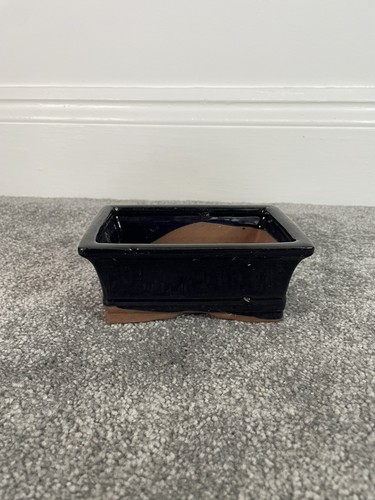 Black bonsai pot - bonsai,