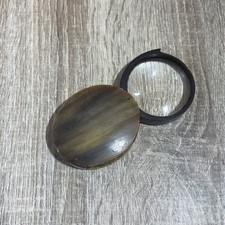 Vintage green tortoise shell - tortoise,