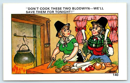 Postcard quip welsh ladies - quip,