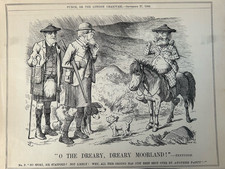 Antique Print 1884 • Punch