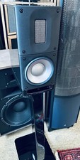 Raidho Acoustics X1t Including Dedicated Stands 1 Month Old 