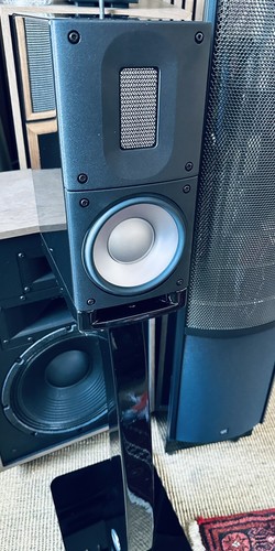 Raidho acoustics x1t including - raidho,