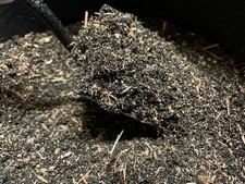 ✨️NEW 🇬🇧😀🇬🇧  5L Coffee  Plant Fertiliser Compost  ✨️