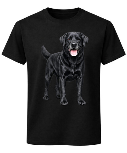 Black labrador retriever - labrador,