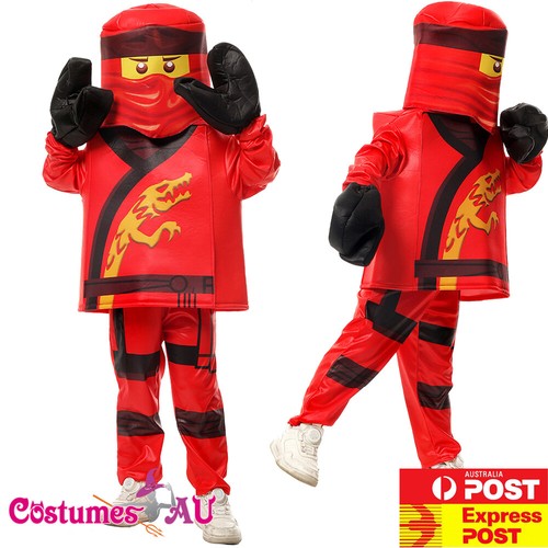 Kids lego ninjago costume - lego,