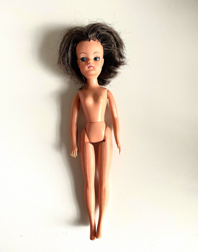 Vintage 1970s pedigree - pedigree, sindy
